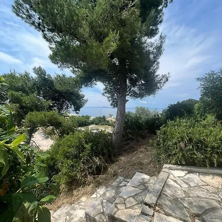 Mediterranean Oasis *