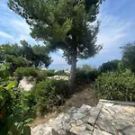 Mediterranean Oasis *